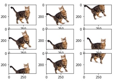 Example of image transformations - rotated cat images